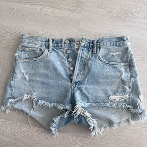 AGOLDE Parker Short (27, Swapmeet)